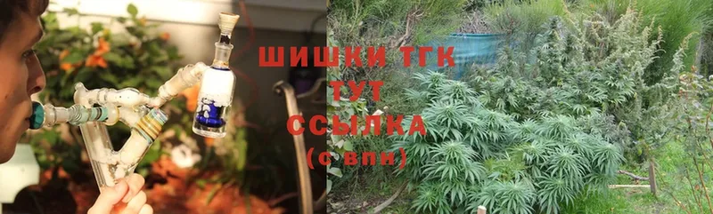 продажа наркотиков  Нелидово  Каннабис SATIVA & INDICA 